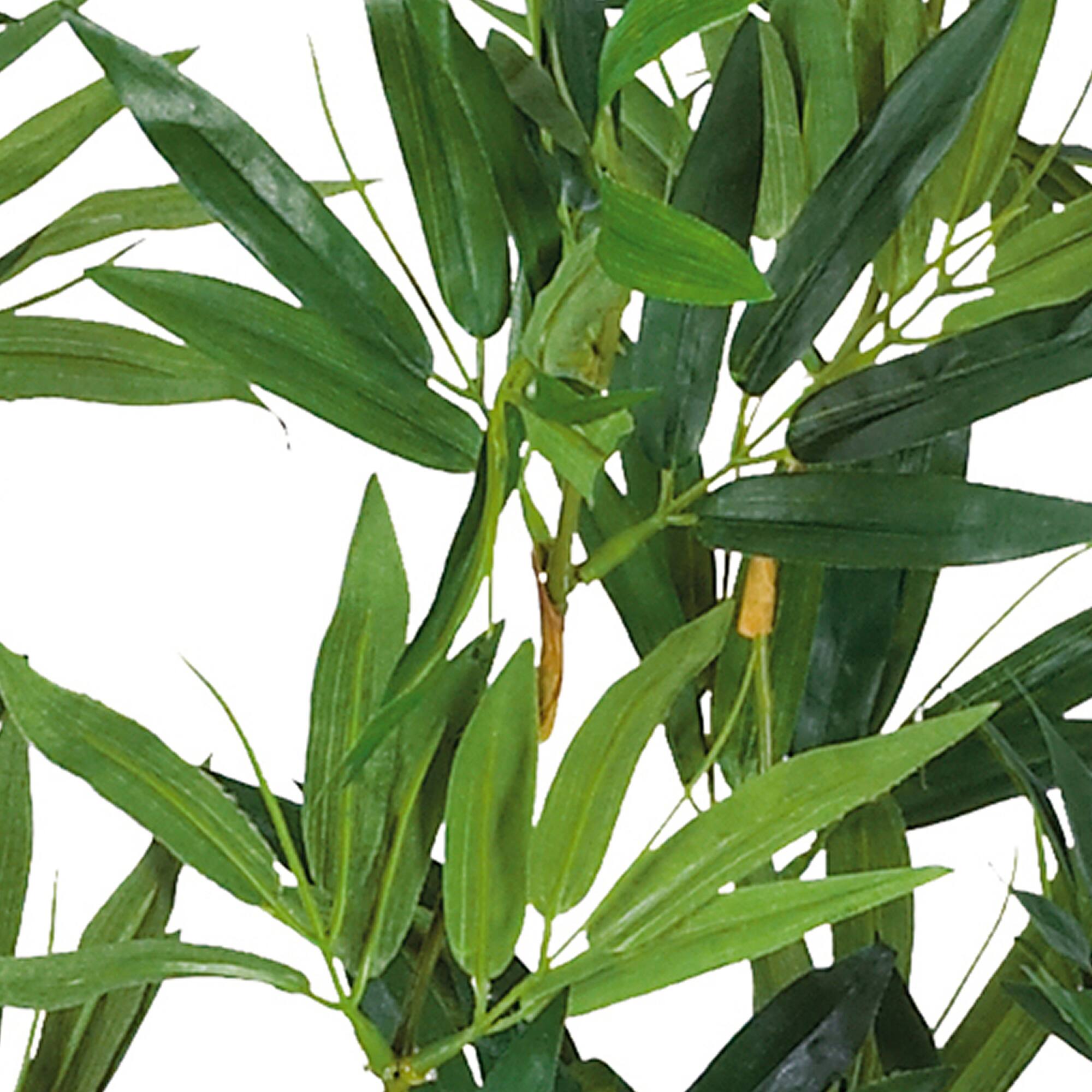 4ft. Potted Bamboo Plant